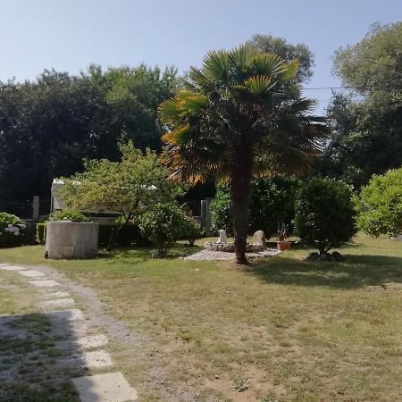 Casa Sara Διαμέρισμα Sanxenxo Εξωτερικό φωτογραφία
